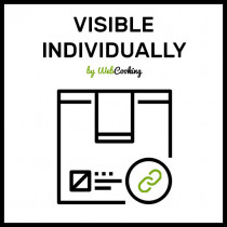 product Visible Individually - magento